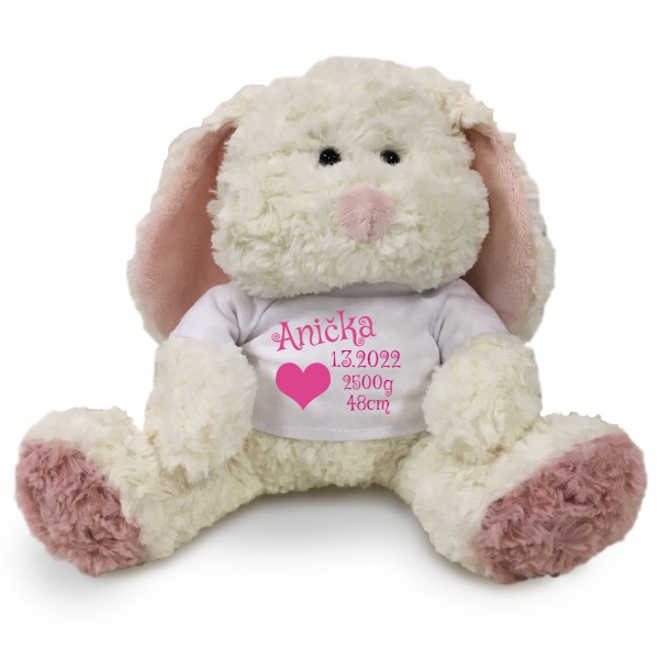 Medvídek Teddy s potiskem jméno miminka